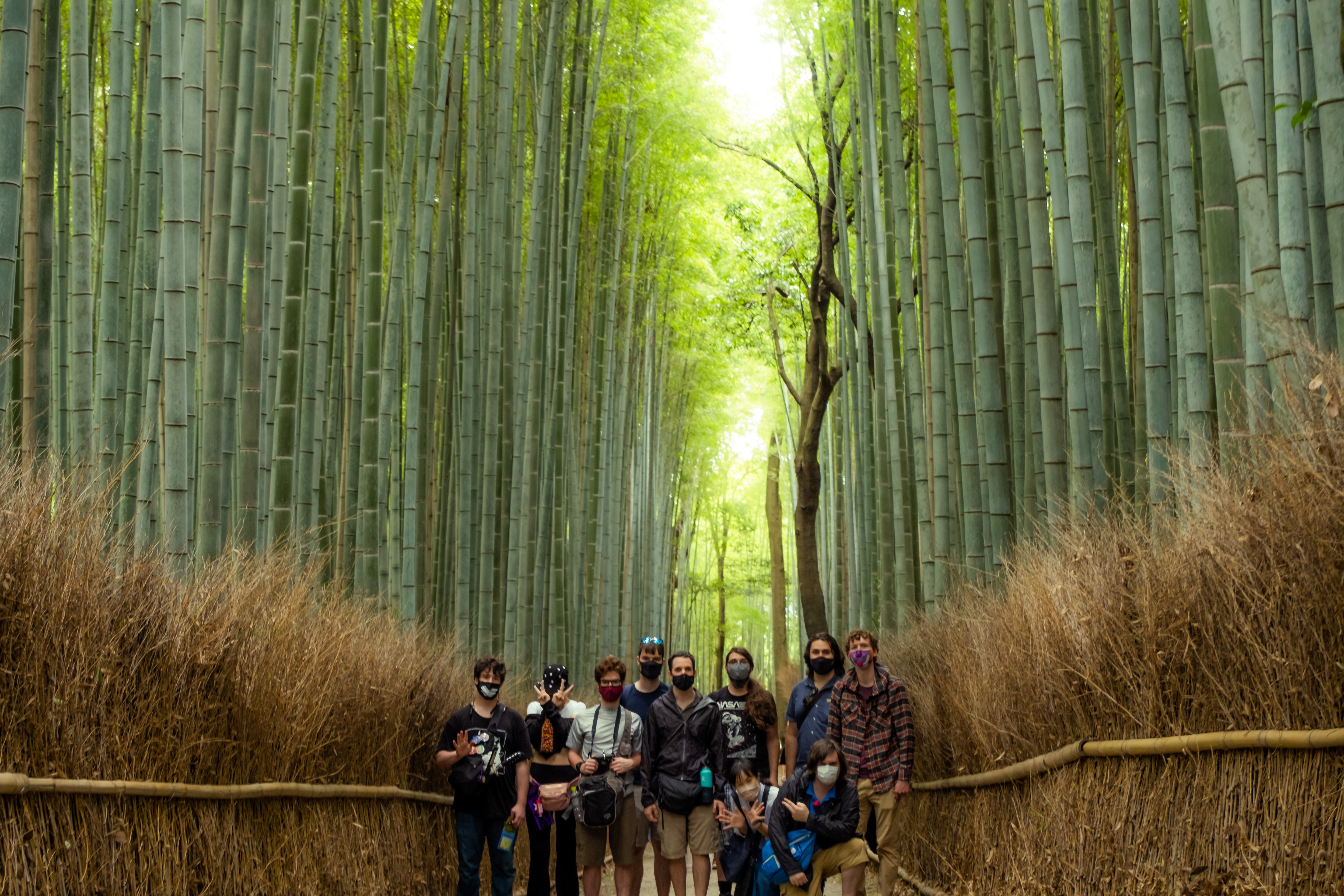 Bamboo Forest