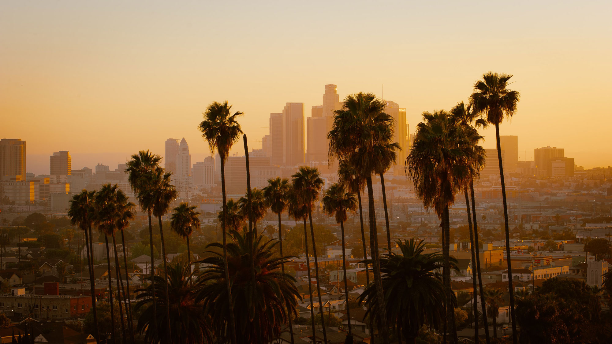 Los Angeles Sunset