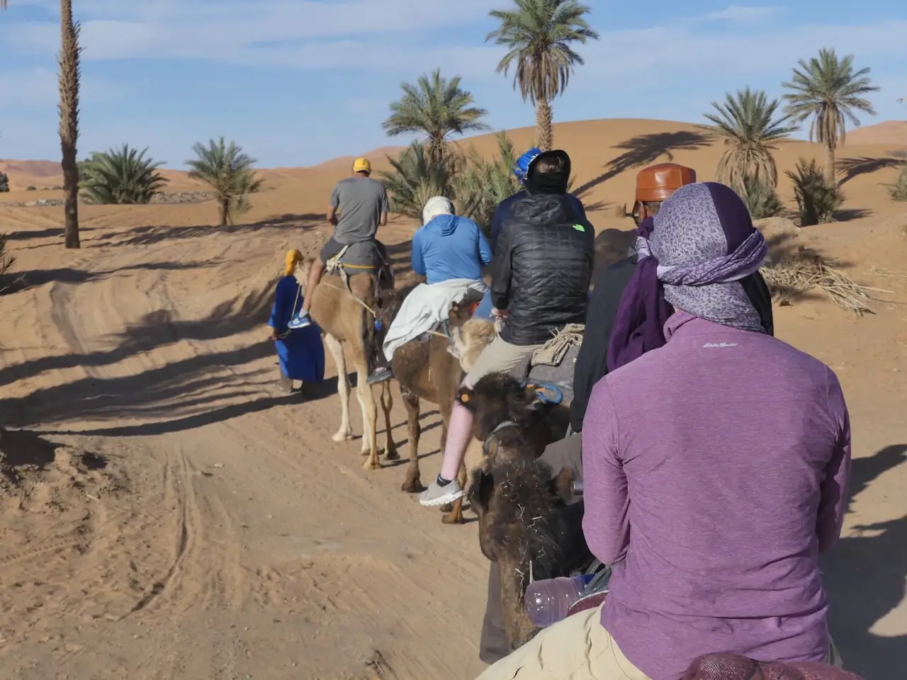 Camel trek in Morocco
